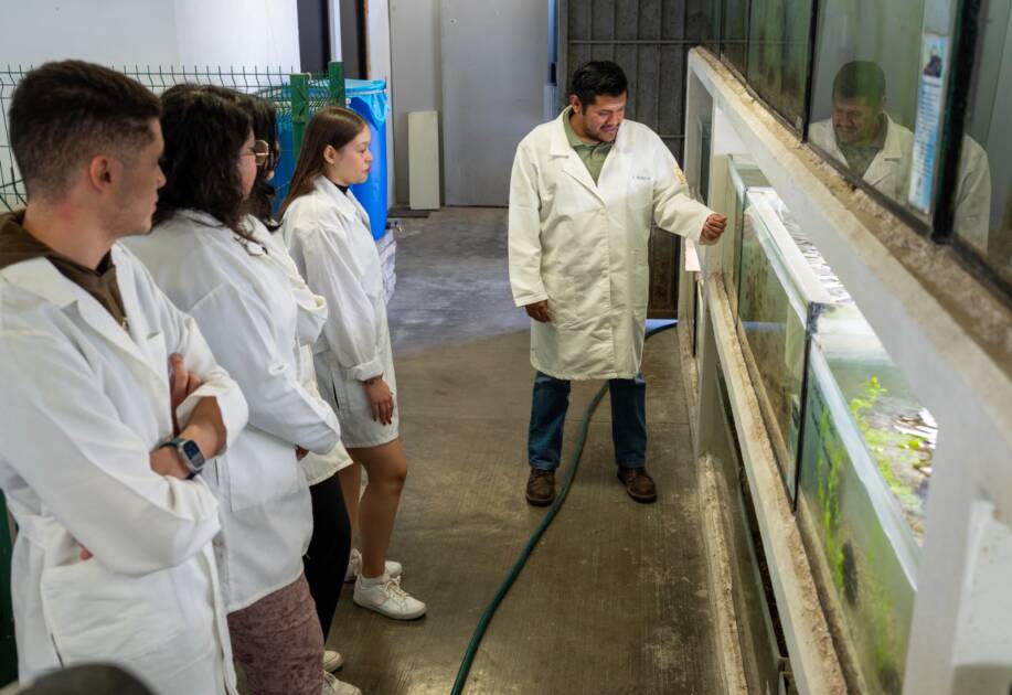 Maestría en Ciencias Biológicas de la UMSNH, una opción para tu crecimiento profesional