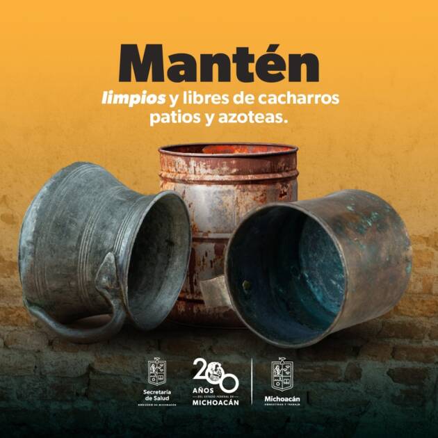 Más de 980 mil acciones realizadas durante 2024 contra el dengue: SSM