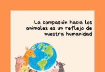 Maltrato animal en Michoacán se dispara 40% en un año; 99% de los casos quedan impunes, denuncian asociaciones