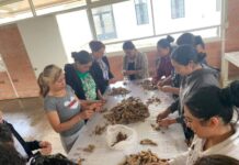 Inician Cursos de Autoempleo en Villa Morelos