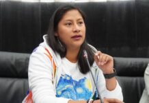 Celeste Ascencio, una opción fuerte para la gubernatura de Michoacán en 2027: Encuestadora Rubrum