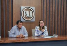 Exige PAN que homicidio del periodista Mauricio Cruz Solís no quede impune