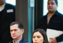 Listo dictamen en materia de protección a las mujeres en el Senado: Araceli Saucedo