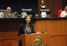 Propone Araceli Saucedo homologar Código Penal Federal con los locales en materia de feminicidio en México