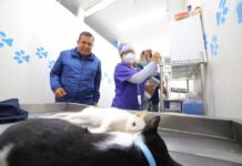 Retoman actividades las Casas de Atención Ciudadana Mano a Mano impulsadas por Barragán