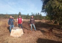 Trabaja Morelos por el derecho al agua