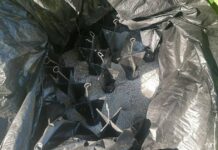 Se localizan y destruyen en Tierra Caliente 60 explosivos para dron y campamentos ilícitos: SSP