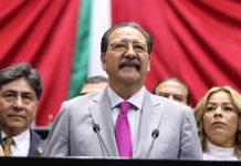 EXPORTACIÓN DE AGUACATE, FUNDAMENTAL EN LA BALANZA COMERCIAL CON LOS ESTADOS UNIDOS