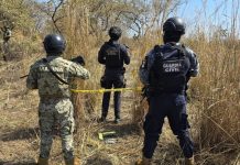 Fin de semana en Michoacán, deja 18 asesinatos, entre ellos un niño destrozado por una mina