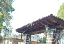 Nueva titular del CREFAL niega la entrada a más de 100 trabajadores