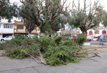 Alma Mireya González impulsa iniciativa por un Quiroga verde y saludabl