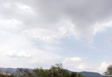 Rehabilitación de espacios educativos: compromiso con la niñez y el futuro de Morelos, Conejo Alejos