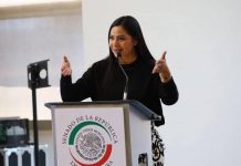 Desde el Senado estamos luchando por los derechos de las niñas y mujeres: Araceli Saucedo
