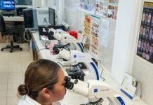 ¿Eres estudiante de la UMSNH y te gustaría realizar una estancia de investigación?, participa en el Programa Delfín