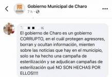 Gabriel Molinero censura a animalistas que exigen justicia por asesinato de perros