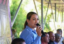 Inaugura Mónica Valdez Pulido paneles solares en Zacapu