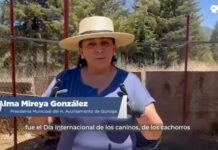 Reviven el Centro de Atención y Control Canino de Quiroga tras años de abandono