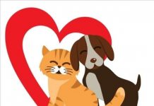 Urgente: activistas exigen atención tras envenenamientos masivos; Paracho en el top ten de crueldad animal