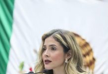 Avanza en el Congreso Local iniciativa de nuevas masculinidades: Brissa Arroyo