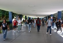 UMSNH acerca oferta laboral a las y los universitarios, se realizará Feria de Empleo