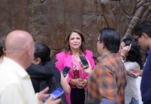 Ley p la apología del delito no violará derecho a la libertad de expresión: Fabiola Alanís