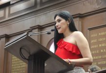 Presenta diputada Diana Espinosa iniciativa para reformar Ley de Turismo en materia de protección a niñas, niños y adolescentes