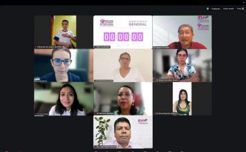 IEM aprueba procedimiento “8 de 8 contra la violencia” para verificar elegibilidad de candidaturas judiciales