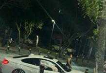 🚨 Auto choca contra un árbol en el bulevar García de León 🚗🌳