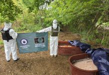 Más de 470 kg de droga asegurada en el mes de mayo: SSP