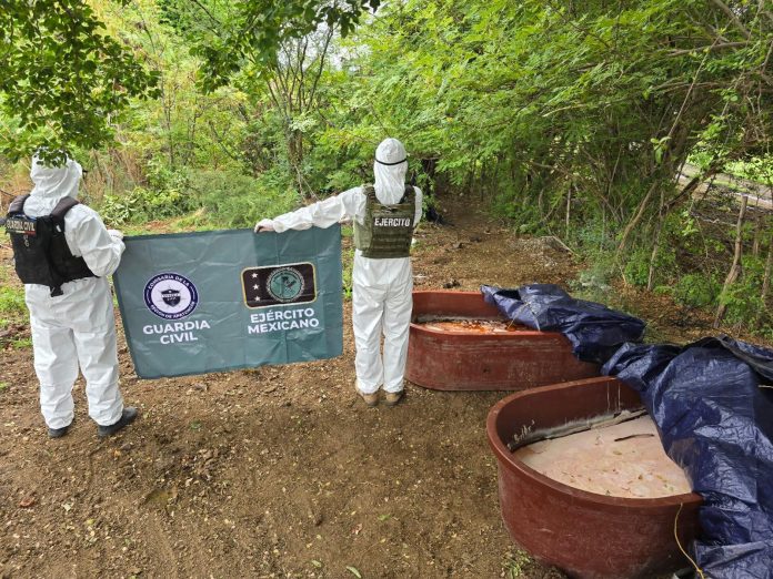 WhatsApp Image 2025-06-05 at 7.56.27 AM (1)