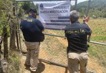 Ejecuta FGE orden de cateo en predio relacionado con tala y cultivo ilegal de aguacate en Pátzcuaro