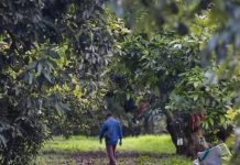 POR UN DELITO COMETIDO CONTRA LA LEGISLACIÓN LABORAL, LA FGR INICIA CARPETA DE INVESTIGACIÓNES