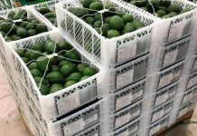 FGR INICIA INVESTIGACIÓN POR EL DELITO DE ROBO DE AUTOTRANSPORTE FEDERAL DE CARGA