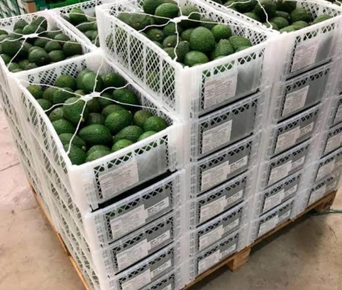 WhatsApp Image 2025-06-11 at 9.34.00 AM (1)