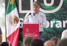 Arranca Bedolla reforestación 2025; despliega ejército verde para plantar 10 millones de árboles