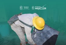 Ante temporada de lluvias, la SSM te dice cómo protegerte del dengue