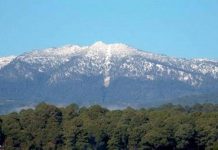 INTEGRA FGR INVESTIGACIÓN POR UN DELITO COMETIDO CONTRA LA BIODIVERSIDAD EN ÁREA NATURAL PROTEGIDA DE TANCÍTARO