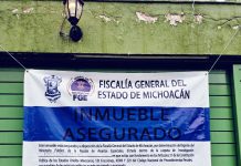 En cateo, rescata FGE a 11 ejemplares caninos víctimas de maltrato animal