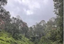 INTEGRA FGR INVESTIGACIÓN POR UN DELITO COMETIDO CONTRA LA BIODIVERSIDAD EN ÁREA NATURAL PROTEGIDA DE CHARO, MICHOACÁN