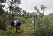 En cateo realizado en Erongarícuaro, asegura Fiscalía General predio por delitos contra el ambiente