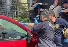 Realiza FGE actos de investigación por feminicidio de la presidenta municipal de Tepalcatepec, y el homicidio de su esposo