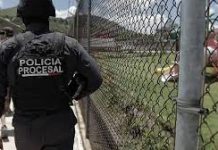 Emiten fallo condenatorio contra Gonzalo R, responsable del delito de violación, cometido en agravio de su sobrina