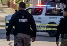 Vinculan a proceso a dos personas por su posible relación en delitos contra el ambiente en Salvador Escalante